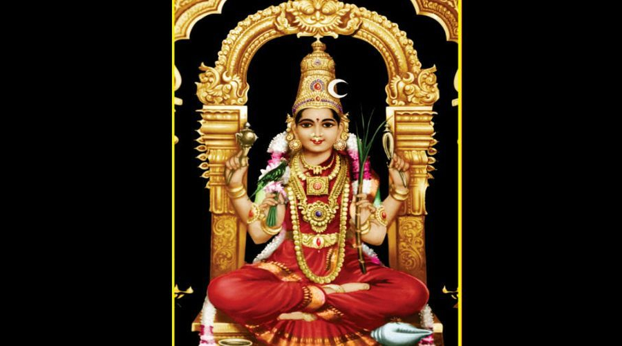 Travel & Registration Grant For Conference On The Shakta Tantras