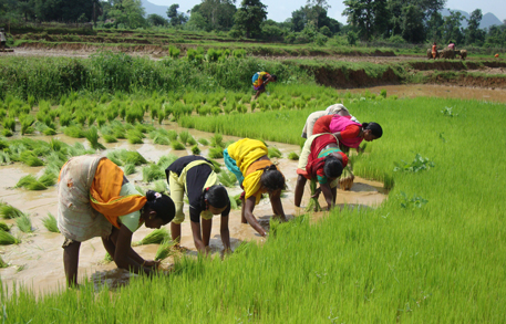 National Conference on  Agricultural Science in Ancient Indian Literature
