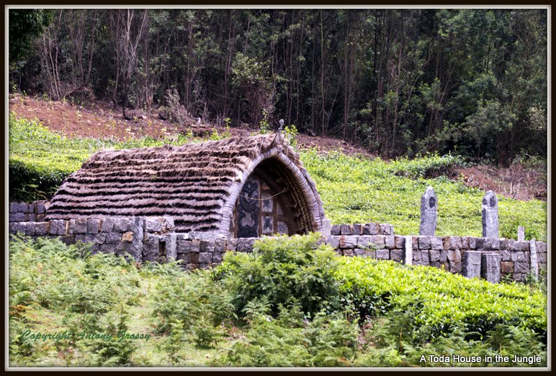 Documentation and Synthesis of Conference on Indigenous Environmentalism