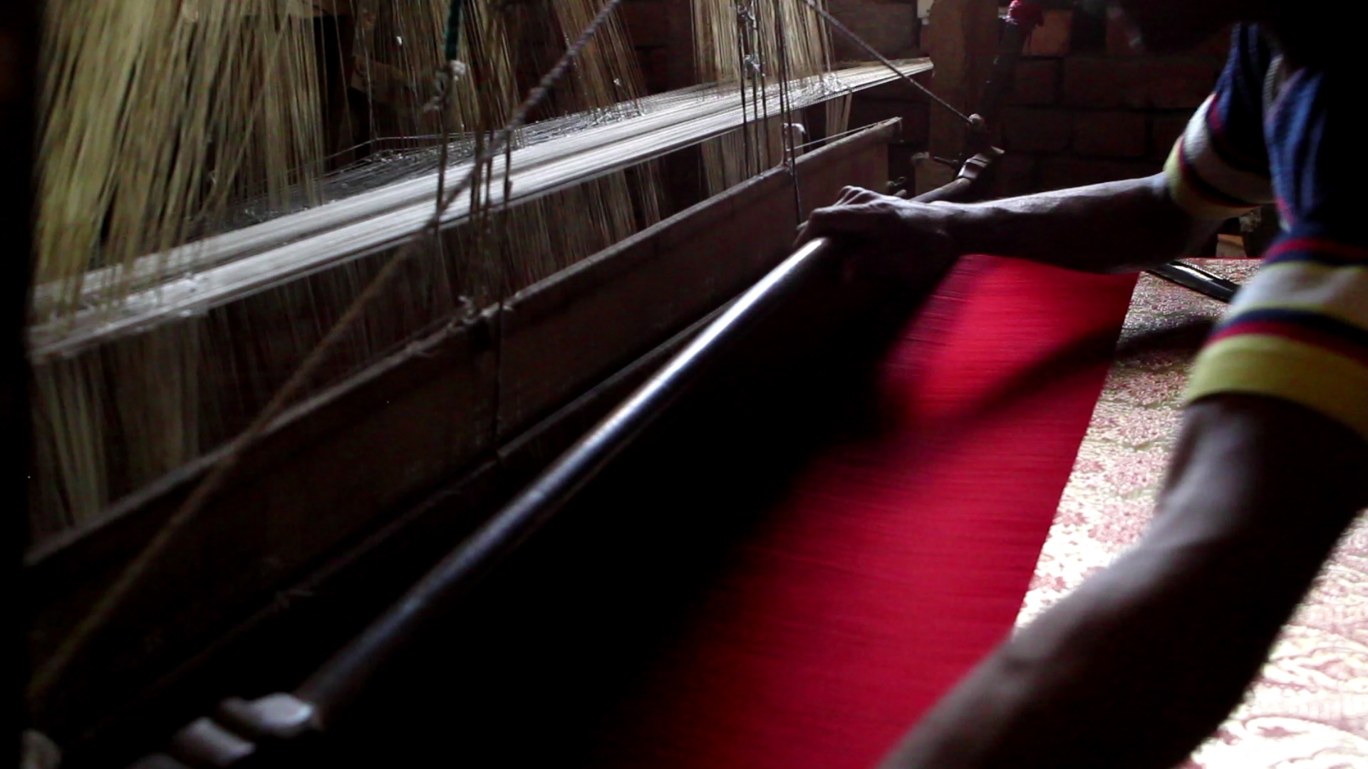 Launch of the Website of Center for Embodied Knowledge